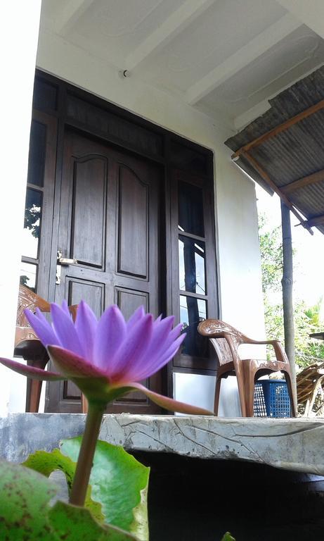 Sigiriya River Side Resort Buitenkant foto