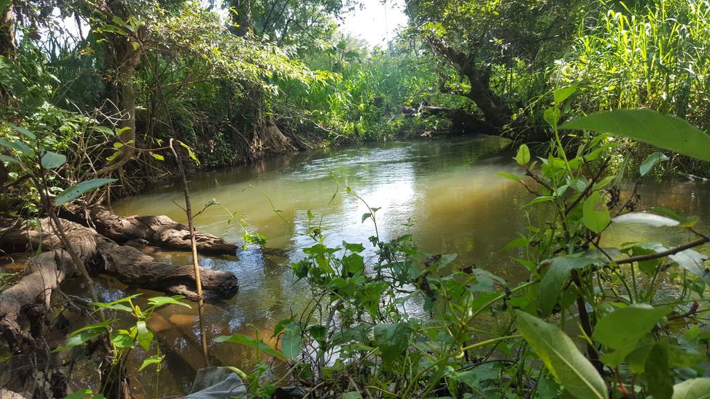 Sigiriya River Side Resort Buitenkant foto